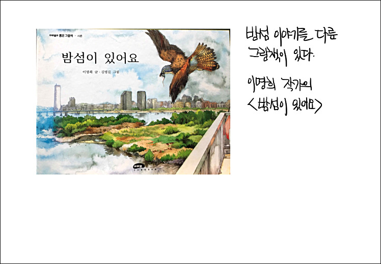 교사의 성장 파트너, 쌤동네 서울 밤섬을 기억하는 두 가지 방법