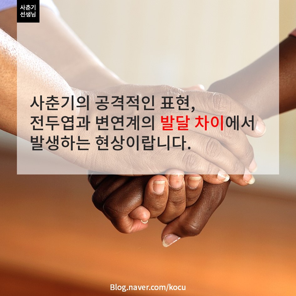 교사의 성장 파트너, 쌤동네